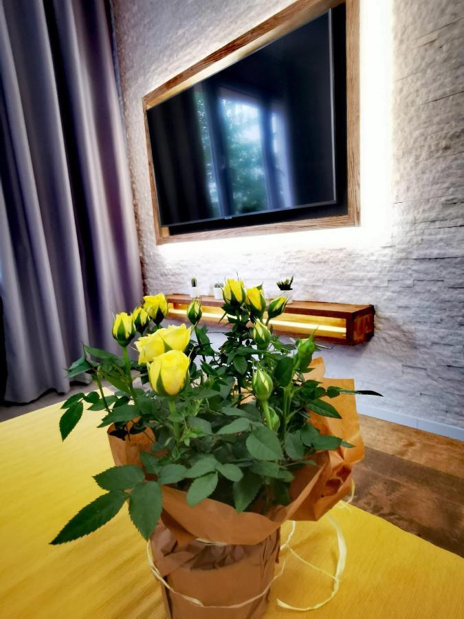 ורוצלב Apartament Przy Arsenale מראה חיצוני תמונה